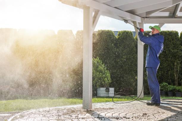 Boat and Dock Cleaning in Pasadena, MD